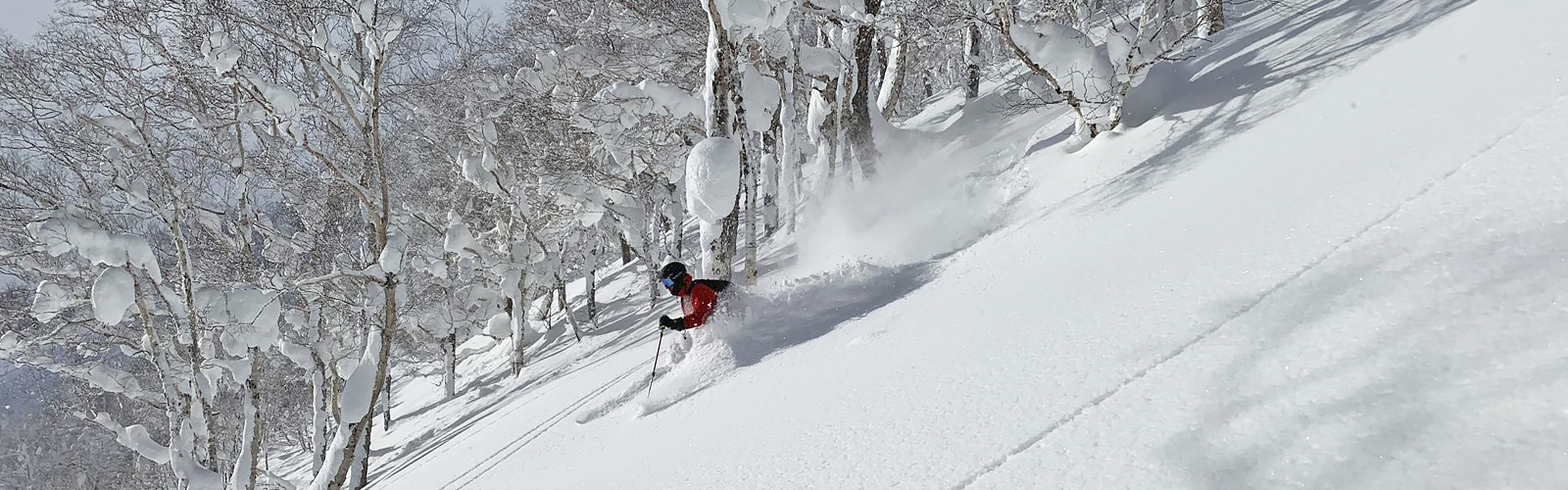 toppniseko2020