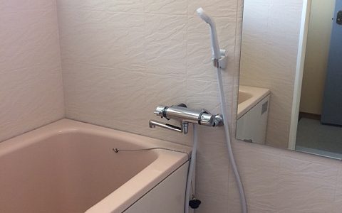 private-bathroom